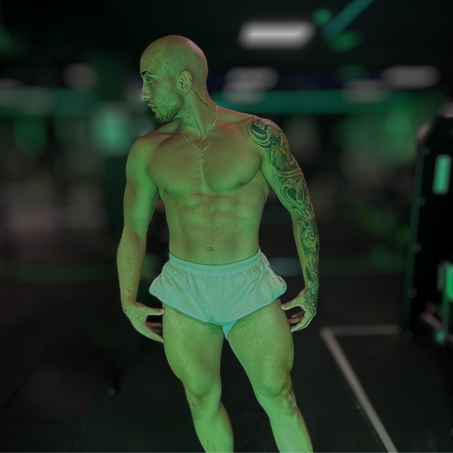 Bienvenido de vuelta